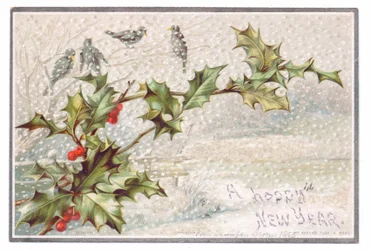 Viktorianische Neujahrskarte von Vögeln auf Zweigen im fallenden Schnee, um 1880 (Farblitho)