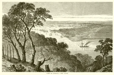 Ansicht von Durban, Port Natal