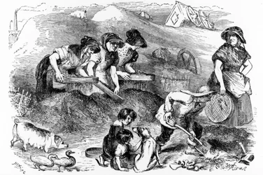 Ansicht eines Staubhofs, Illustration aus 