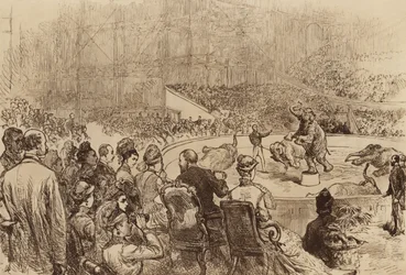 Besuch des Prinzen und der Prinzessin von Wales und des Königs und der Königin von Griechenland, 1876