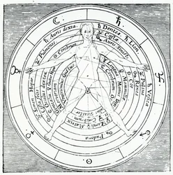 Vitruvianische Figur, aus 