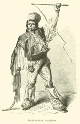 Walachischer Postillion