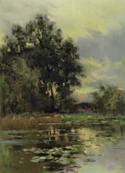 Seerosen