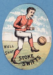 Gut geschossen Stoke Swifts