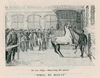 Whoa, My Beauty - Im Ring, seine Gänge zeigend