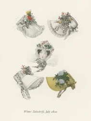 Wiener Zeitschrift, Juli 1820