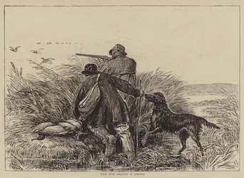 Wildentenjagd in Norfolk