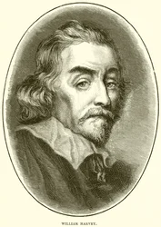 William Harvey