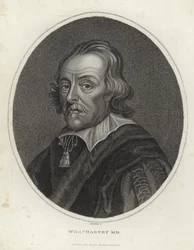 William Harvey