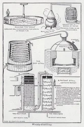 Whisky-Destillation