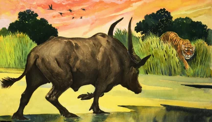 Wunder der Natur: Das wildeste Tier von allen