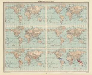 Zoogeographie: Säugetiere, Cetacea, Sirenia