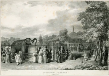 Zoologische Gärten, Regents Park