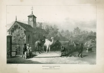 Zoologische Gärten, Regents Park