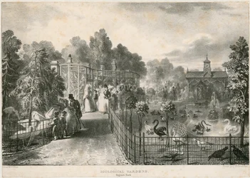 Zoologische Gärten, Regents Park