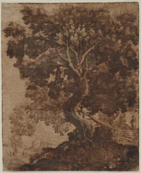 Baum in einer Landschaft