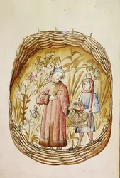 Ein Apotheker und sein Assistent sammeln Kräuter und Wurzeln in einem Kräutergarten, um 1380-1400