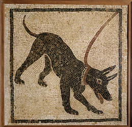 Cave Canem - Vorsicht vor dem Hund, Schwellenmosaik aus Pompeji