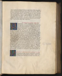 Vollseite: Text mit zwei 