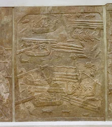 Transport von Zedernholz