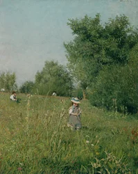 Sonnenschein, Pipping