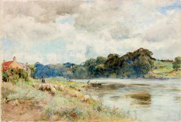 Am Coquet
