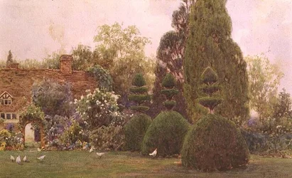 Hühner in einem Garten