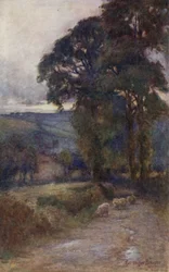 Die beschattete Straße