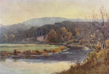 Der Wald und der Wasserweg