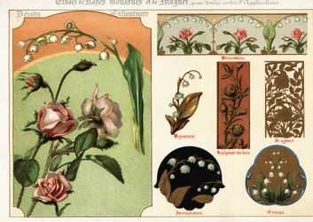Bilder von Moosrose und Maiglöckchen aus Manuskripten und deren Anwendung
