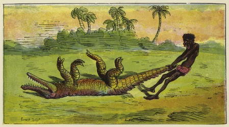 Ashanti-Mann zieht ein schlafendes Krokodil am Schwanz