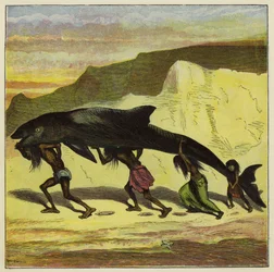 Großer lustiger Fisch
