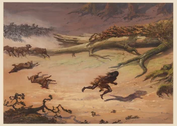 Jagd, 1871