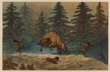 Bisonjagd