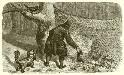 Der Vogelfänger und die Amsel