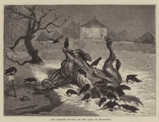 Die Schrecken des Krieges, auf dem Weg nach Beaugency