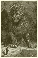 Der Löwe und die Maus