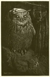 Die Eule und die Heuschrecke