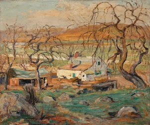 Landschaft mit knorrigen Bäumen