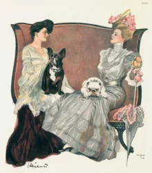 Heilemann / Gottseidank / Berlin. Pflanze 1908