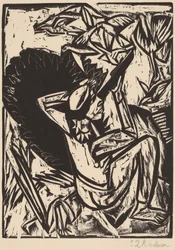 Der Möwenjäger