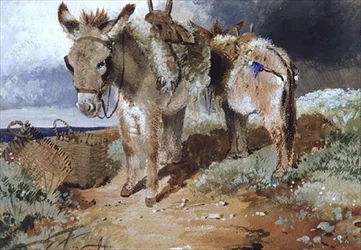 Esel, 1855