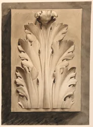 Zeichnung, Akanthusblatt: von einem Abguss