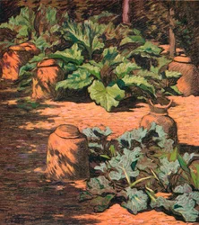 Rhabarber und Meerkohl, ca. 1927