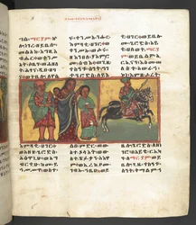 Szene aus dem Leben der Jungfrau Maria, aus 