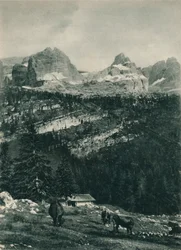 Blick auf die Brenta-Gruppe mit Almwiese, Madonna di Campiglio, Dolomiten, Italien