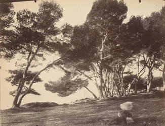 Cannes, Île Saint Honorat, ca. 1899-1927