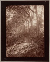 Park von Sceaux