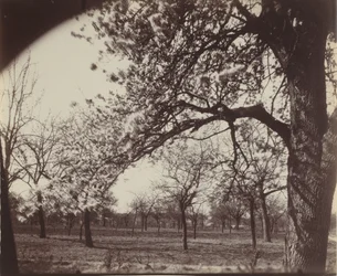 Poirier, 1921 (Foto)