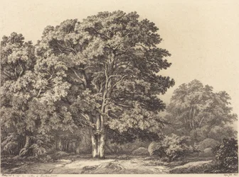 Eingang zu einem Wald, 1840